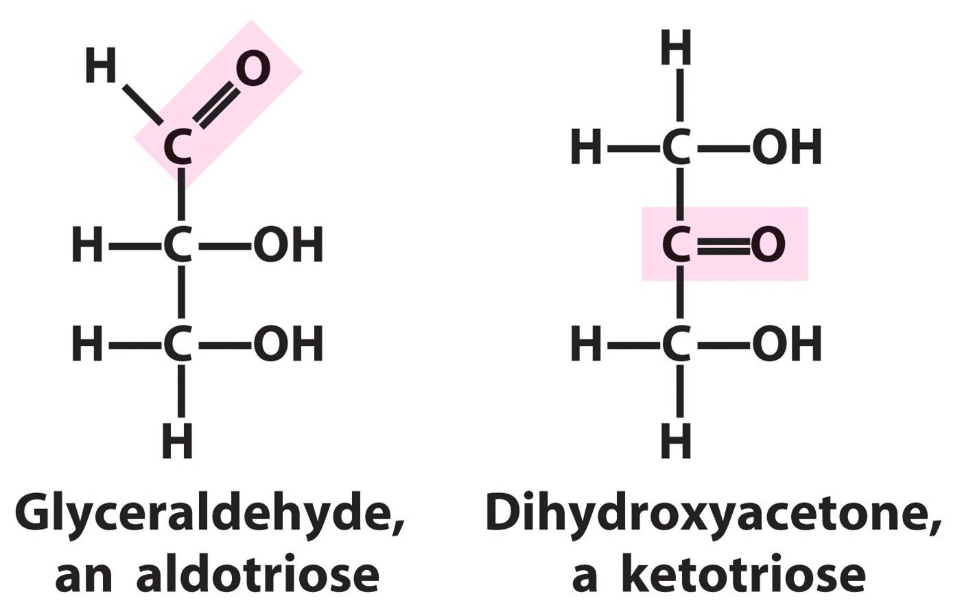 Альдегидная группа соединения. Функциональные группы моносахаридов. Моносахариды с альдегидной группой. Альдегидная функциональная группа. Кетонная группа.